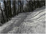 Stara Vrhnika - Koča na Planini nad Vrhniko